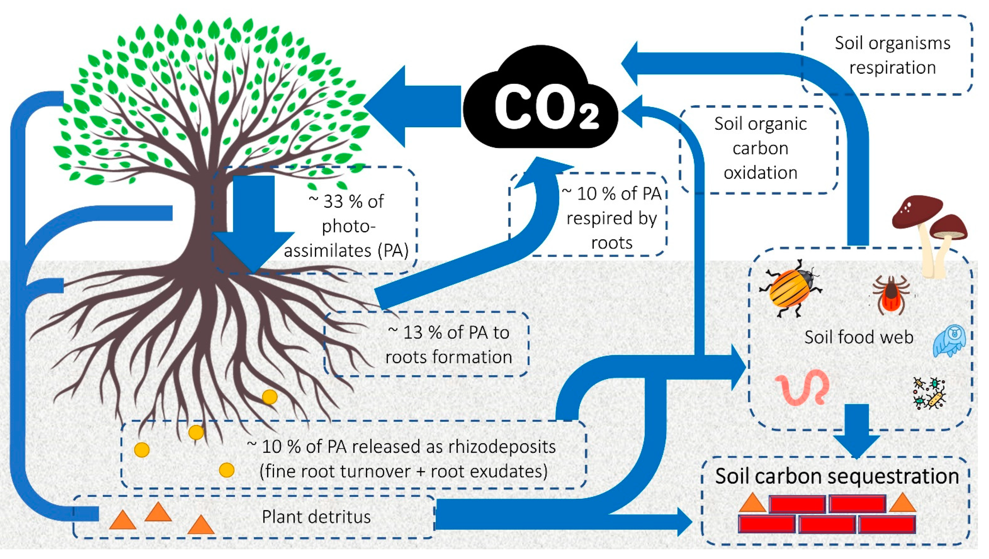 Sustainability 15 07584 g003 Sustainability 15 07584 g003