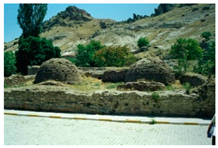 Sustainability 15 07587 i001 Sustainability 15 07587 i001