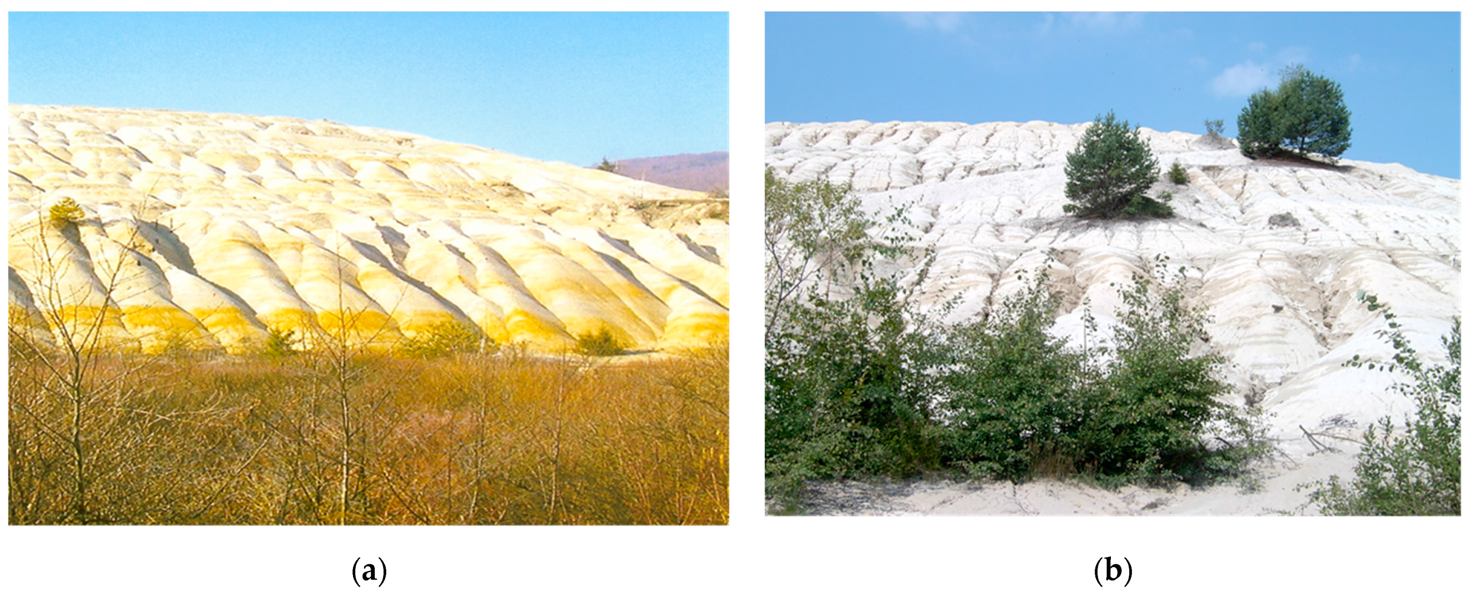 Sustainability 15 07606 g003 Sustainability 15 07606 g003