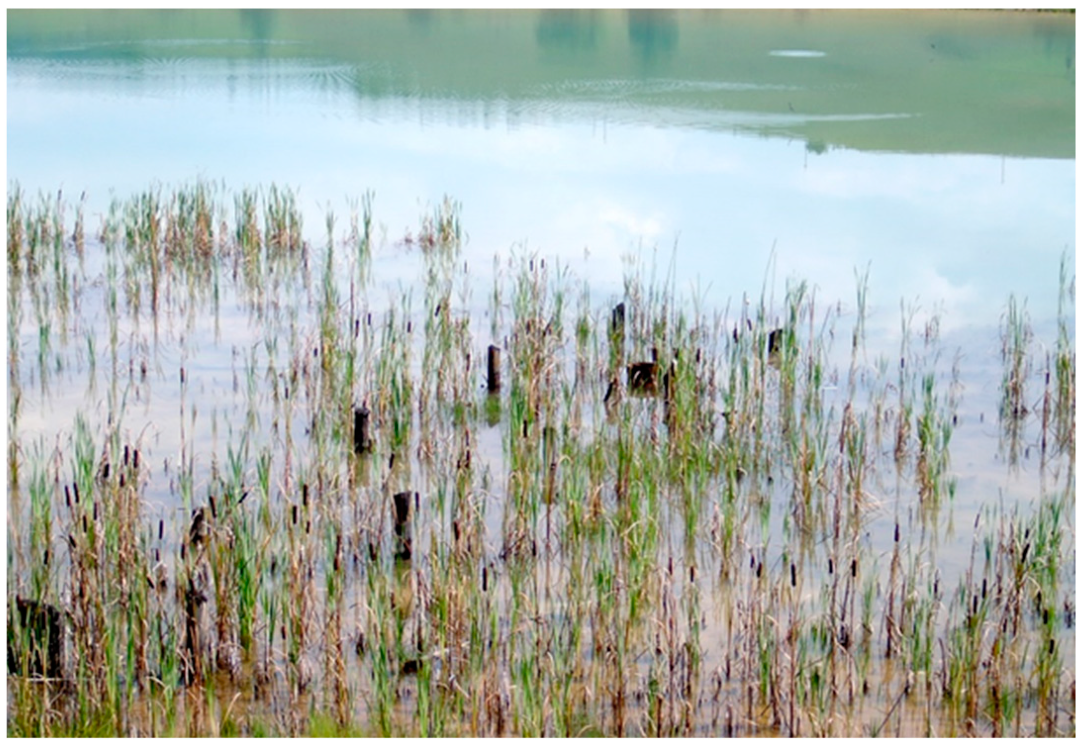 Sustainability 15 07606 g005 Sustainability 15 07606 g005