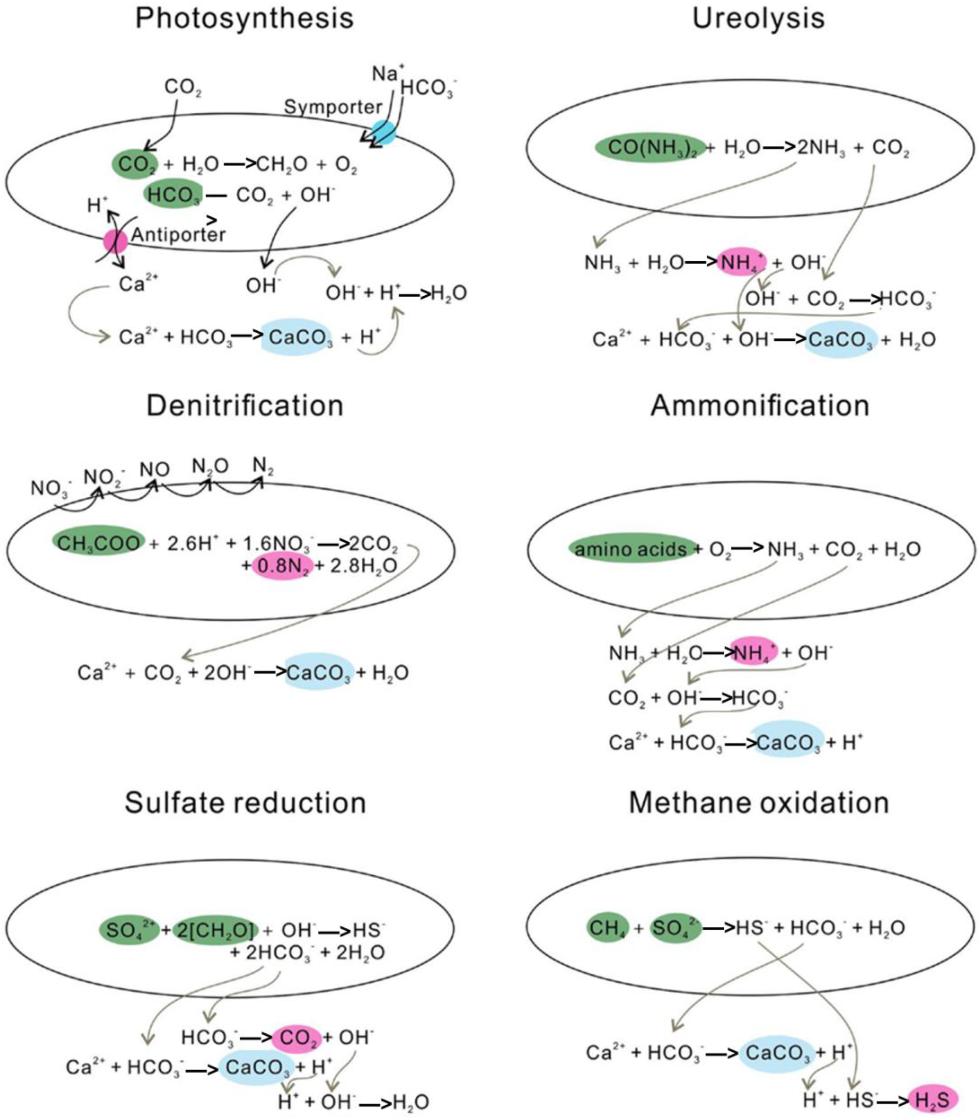 Sustainability 15 07622 g002 Sustainability 15 07622 g002