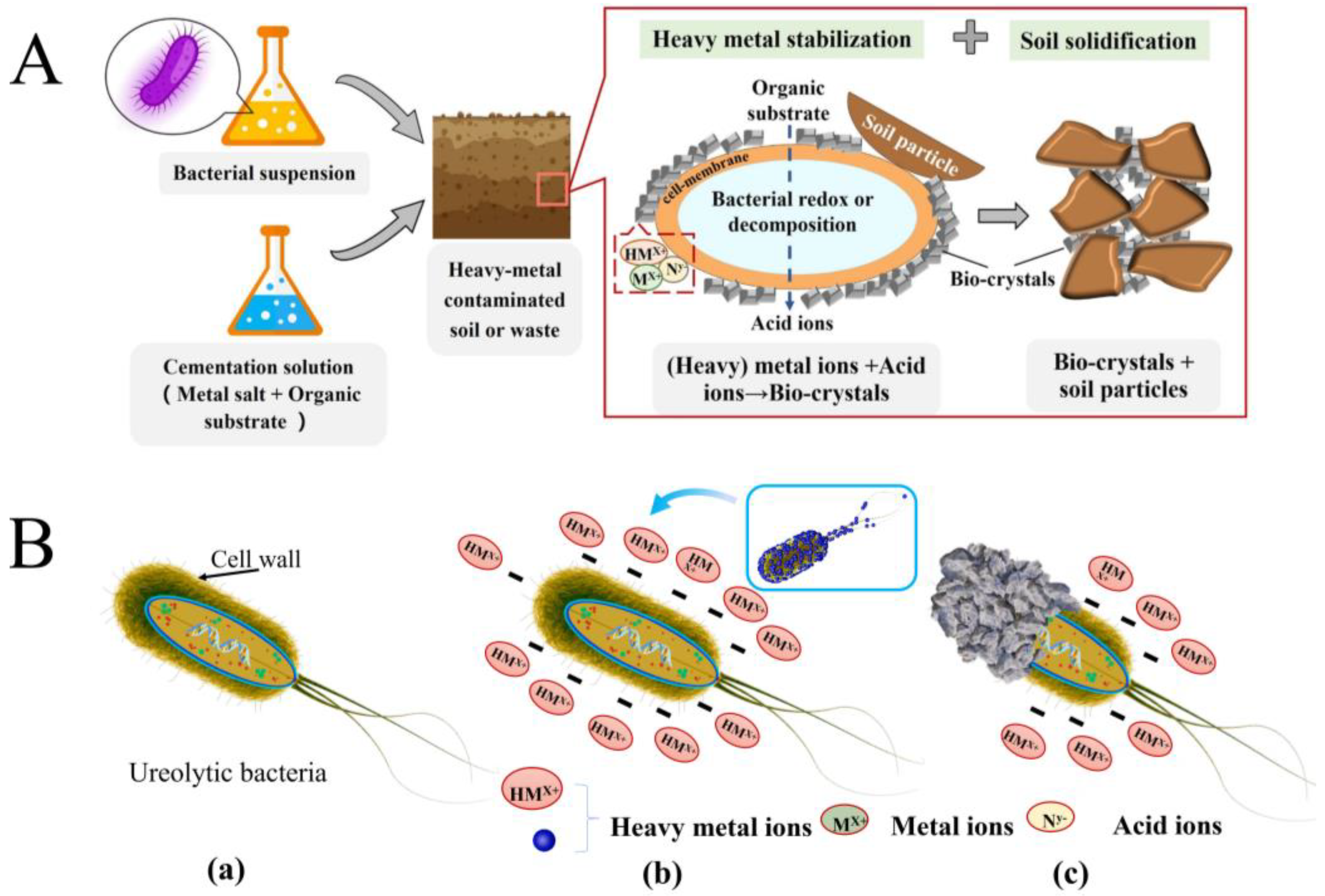 Sustainability 15 07622 g003 Sustainability 15 07622 g003