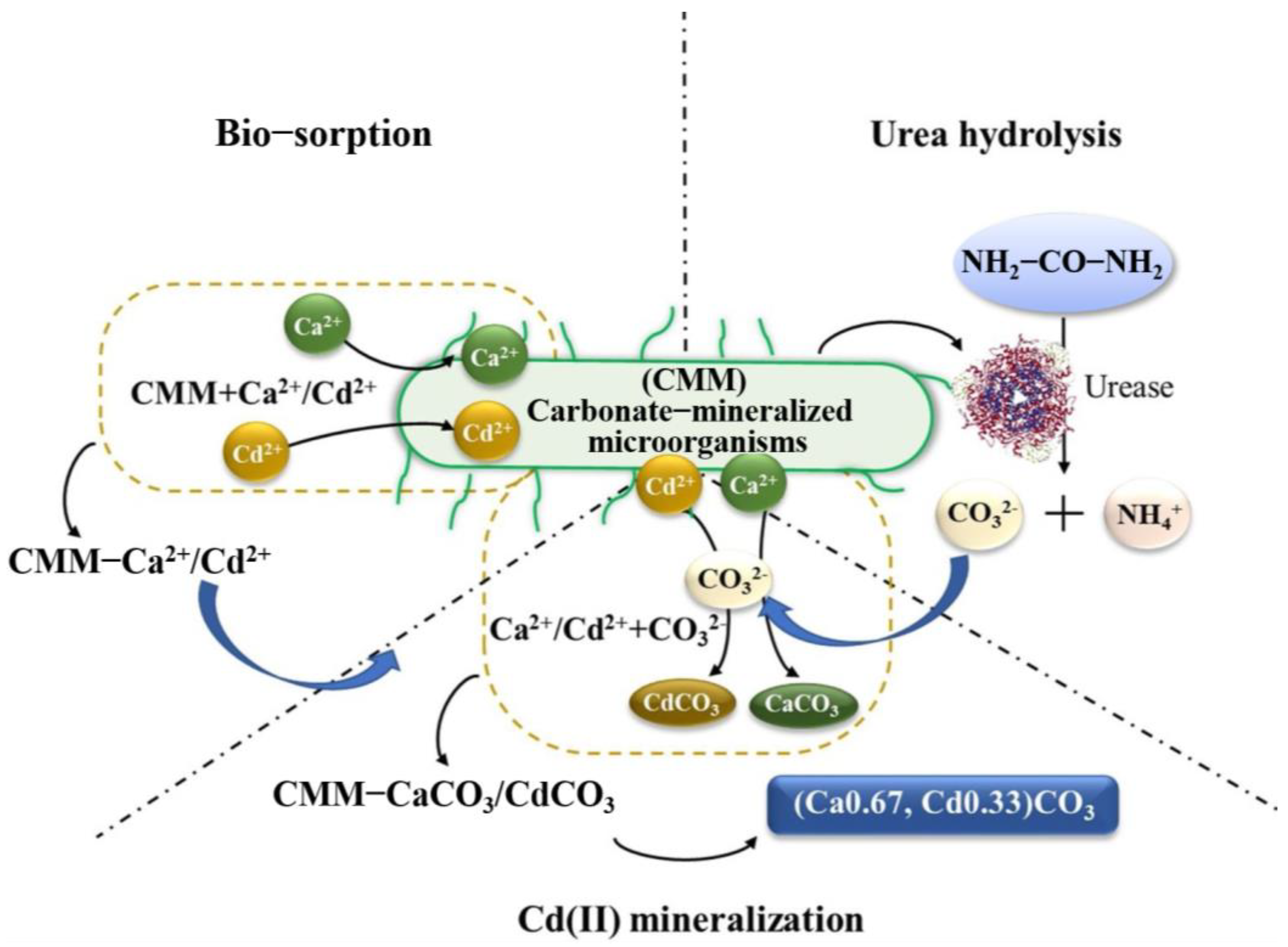 Sustainability 15 07622 g005 Sustainability 15 07622 g005