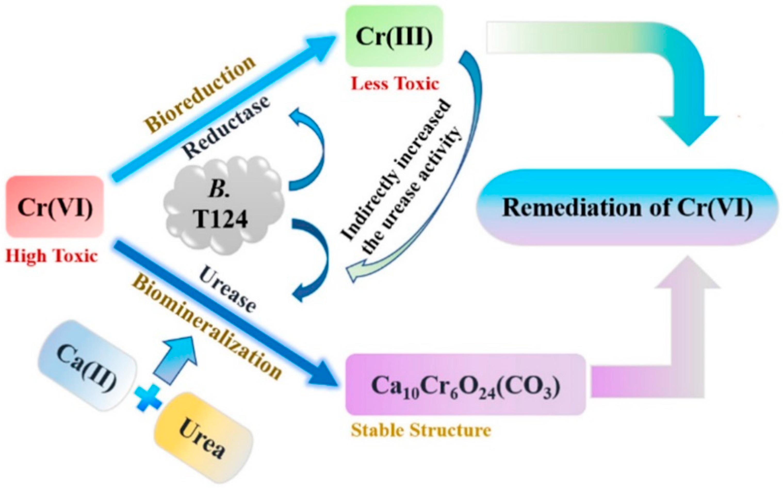 Sustainability 15 07622 g007 Sustainability 15 07622 g007