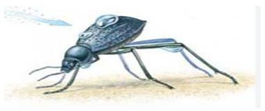 Sustainability 15 07682 i002 Sustainability 15 07682 i002