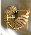 Sustainability 15 07682 i025 Sustainability 15 07682 i025