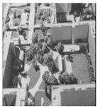 Sustainability 15 07682 i050 Sustainability 15 07682 i050