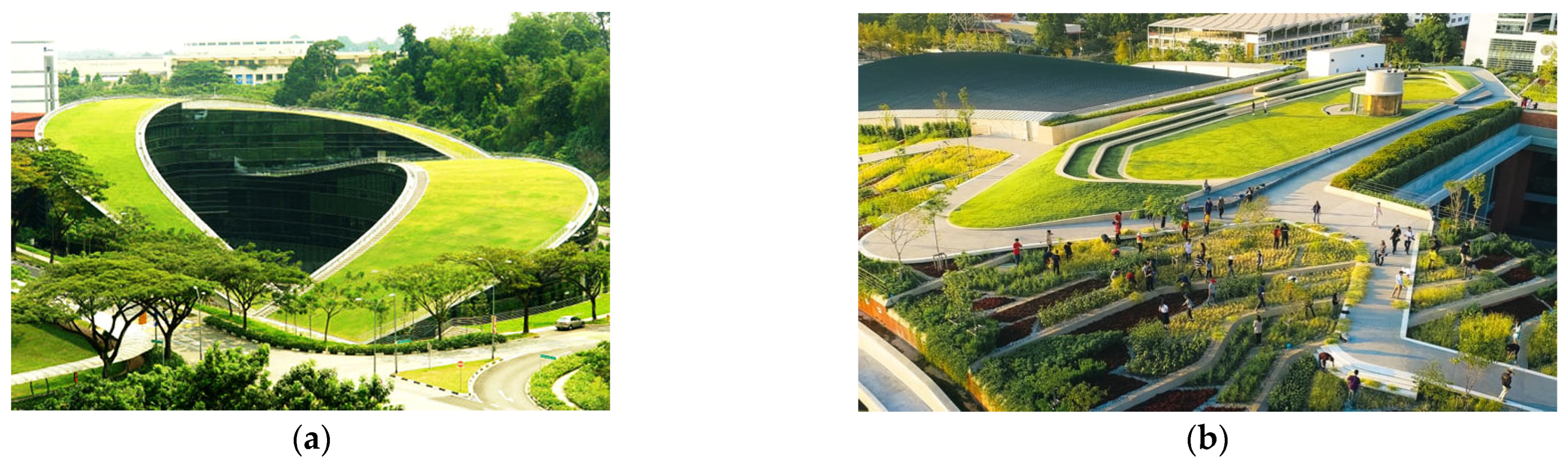 Elevating Sustainability: Green Rooftop Initiatives Elevating Sustainability: Green Rooftop Initiatives