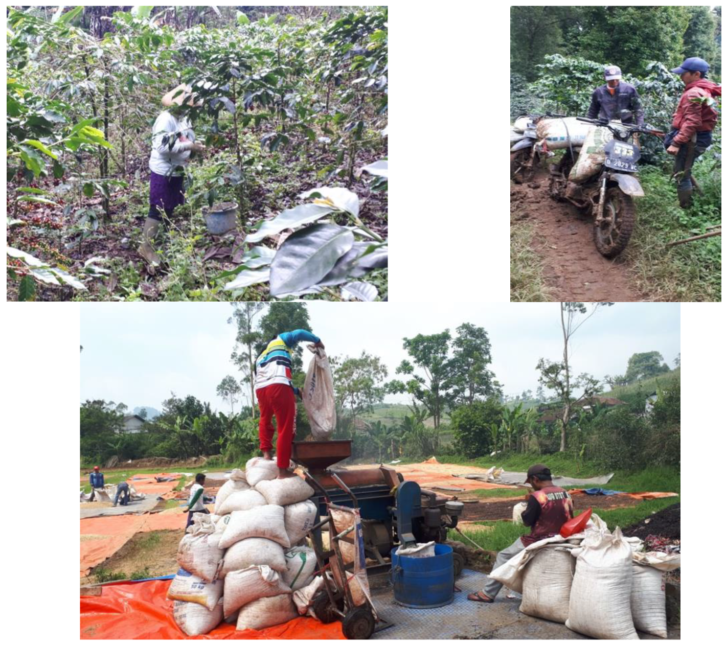 Sustainability 15 07722 g009