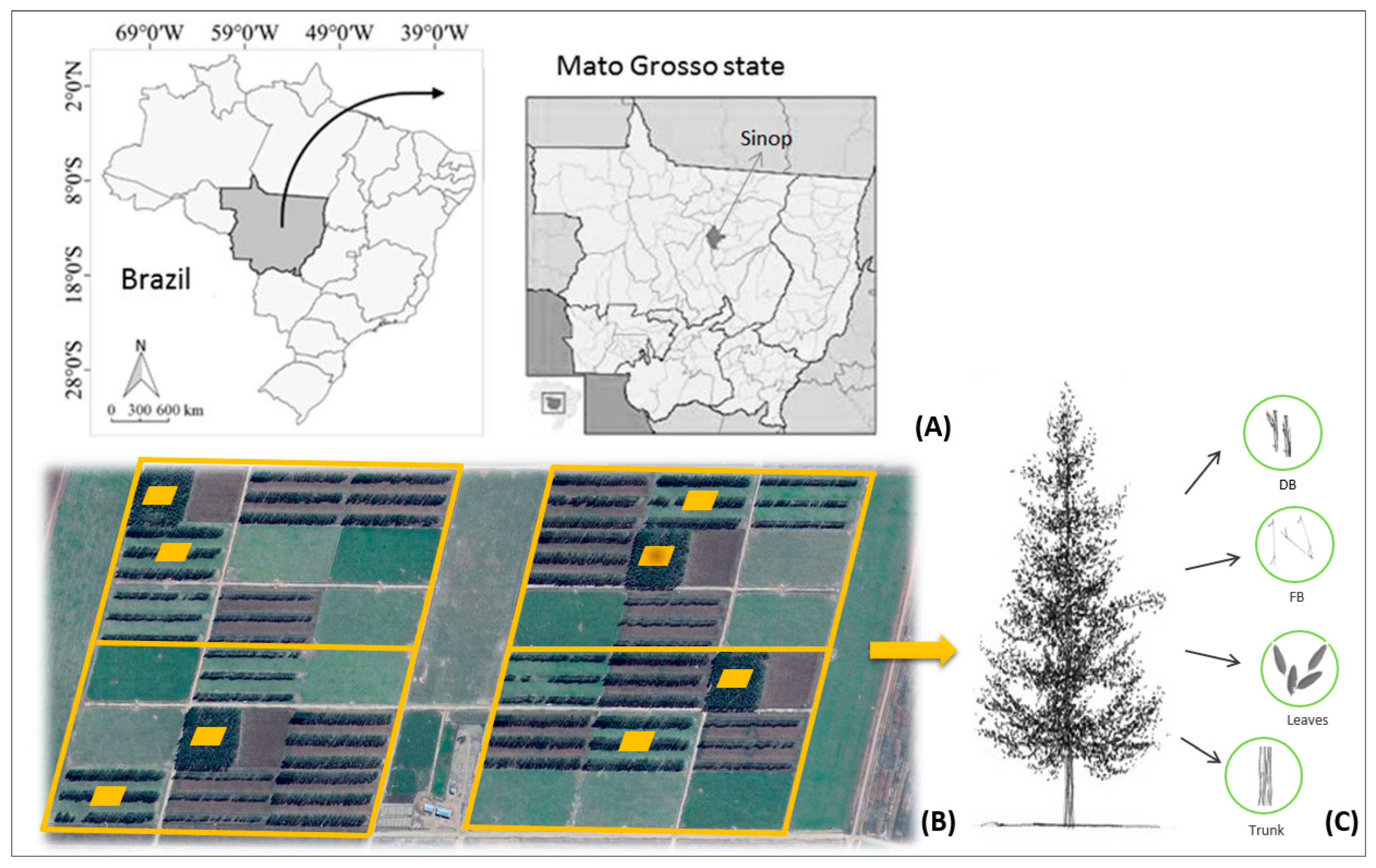 Sustainability 15 07750 g001 Sustainability 15 07750 g001