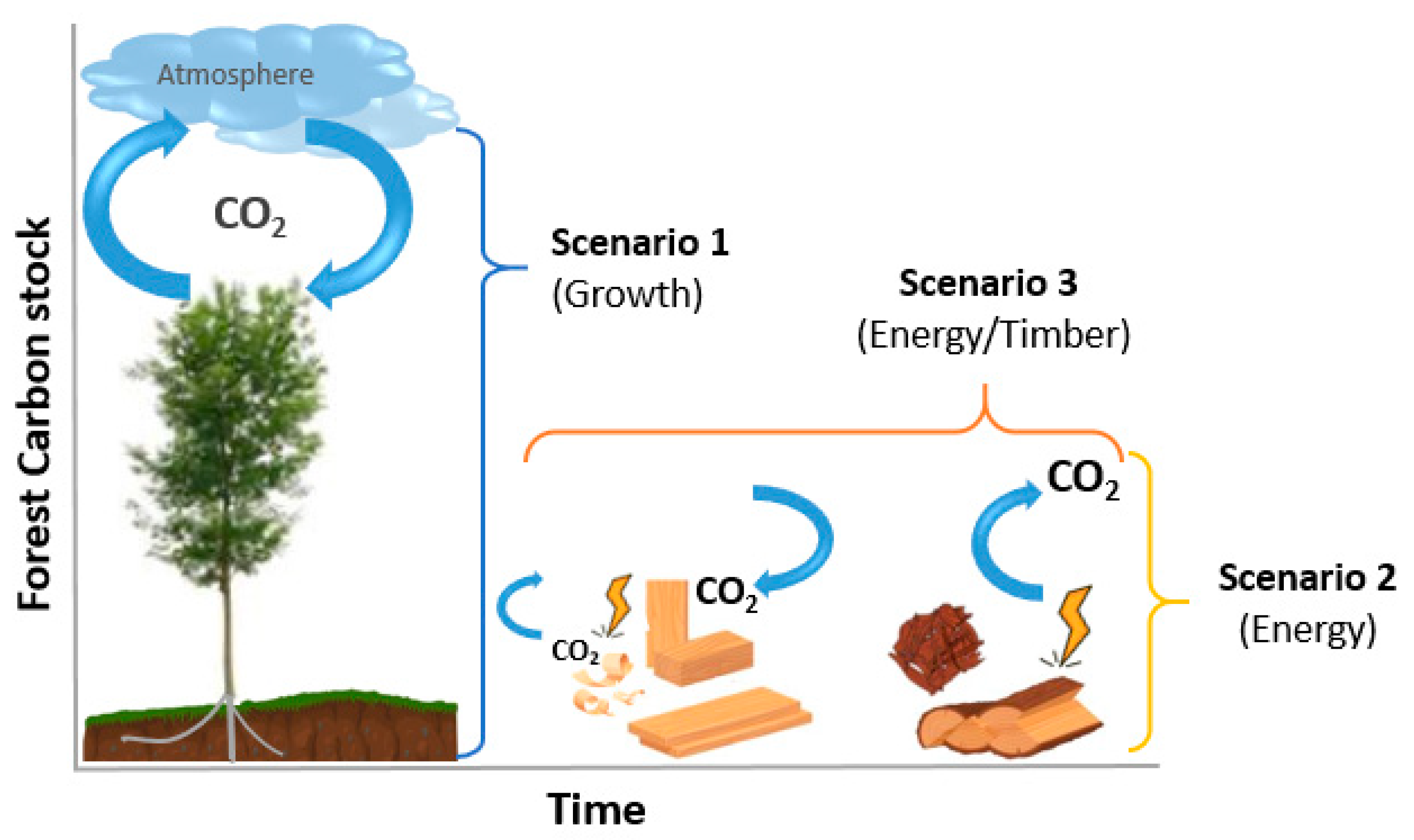 Sustainability 15 07750 g002 Sustainability 15 07750 g002