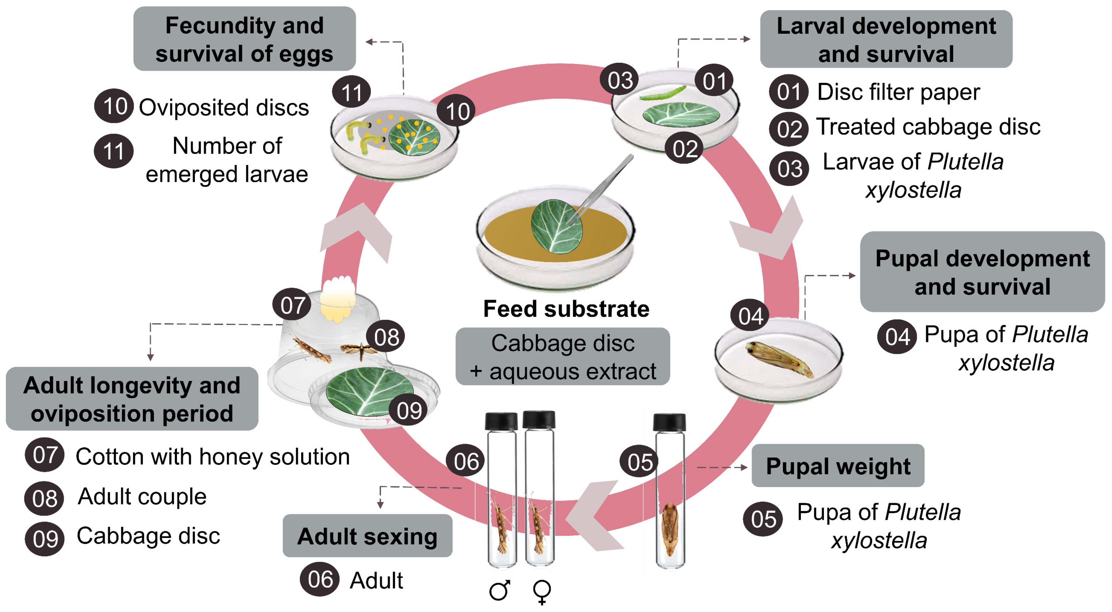 Sustainability 15 07759 g001 Sustainability 15 07759 g001