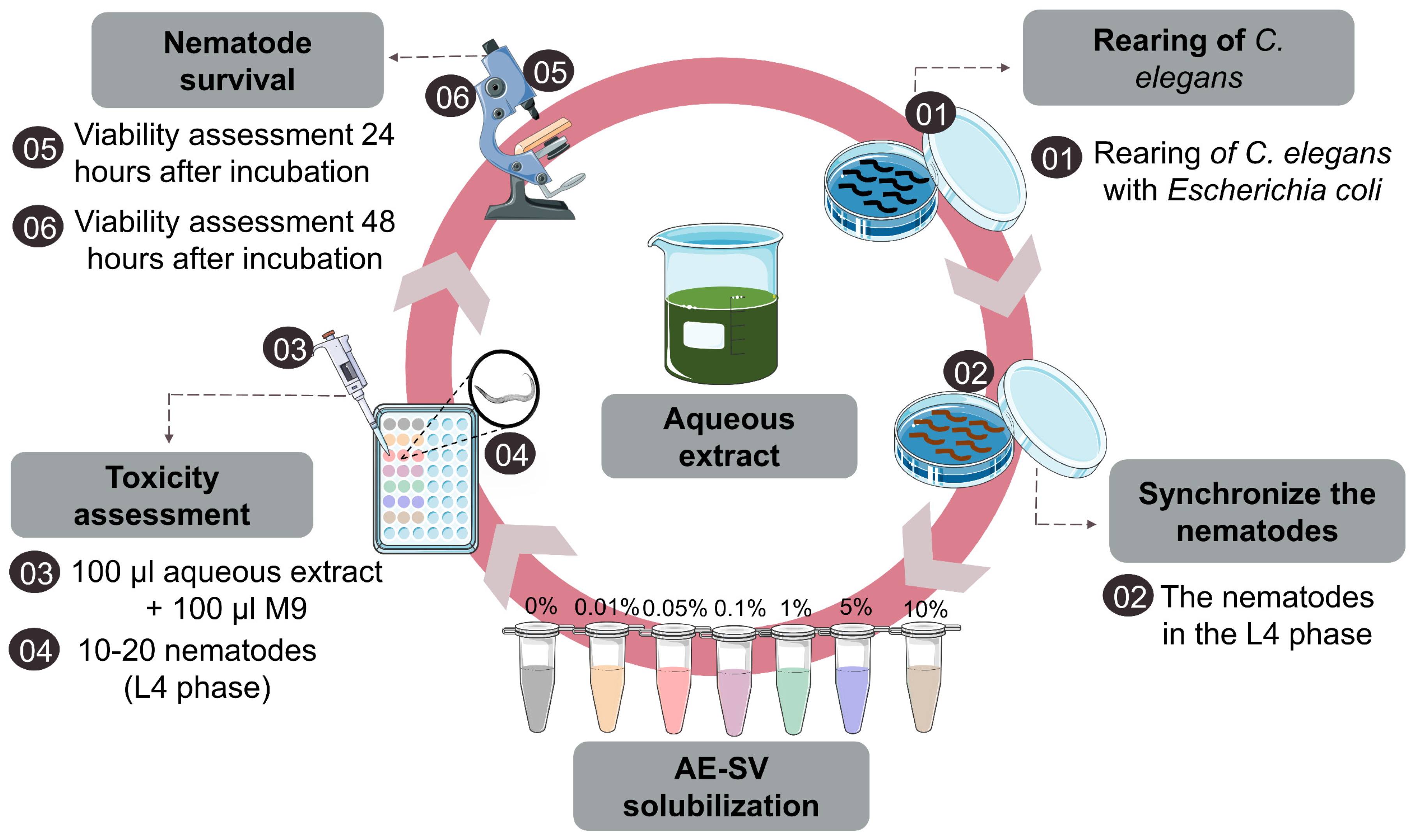 Sustainability 15 07759 g002 Sustainability 15 07759 g002