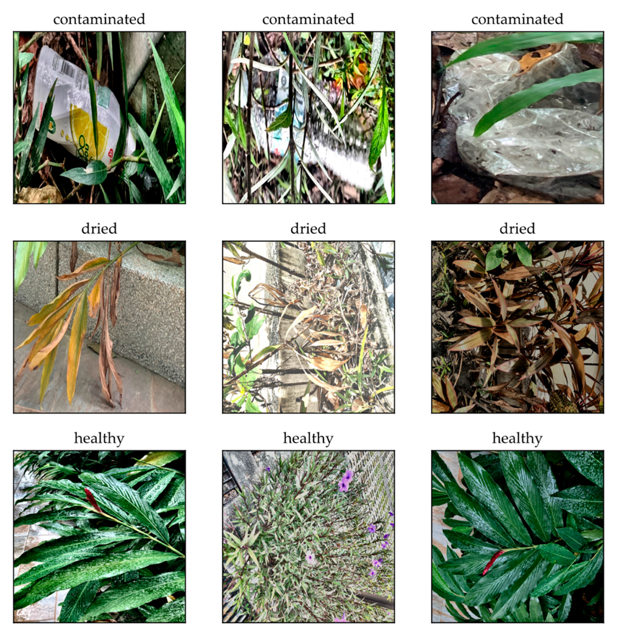 Sustainability 15 07782 g002 Sustainability 15 07782 g002