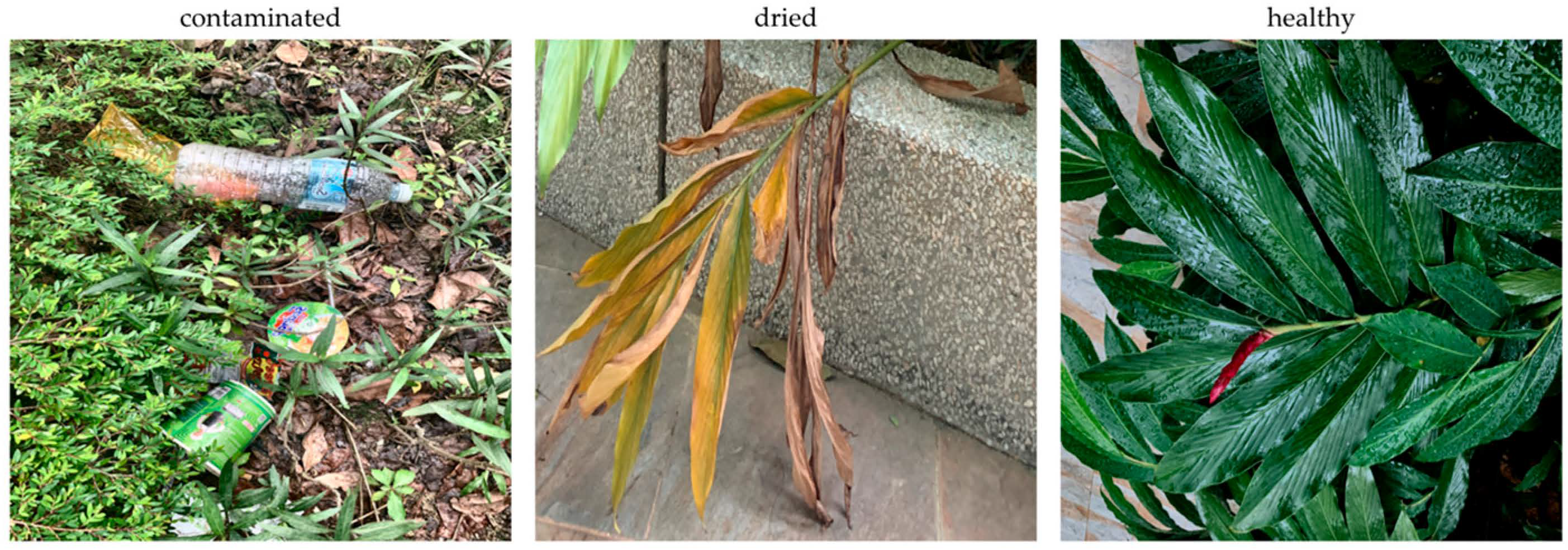 Sustainability 15 07782 g008 Sustainability 15 07782 g008