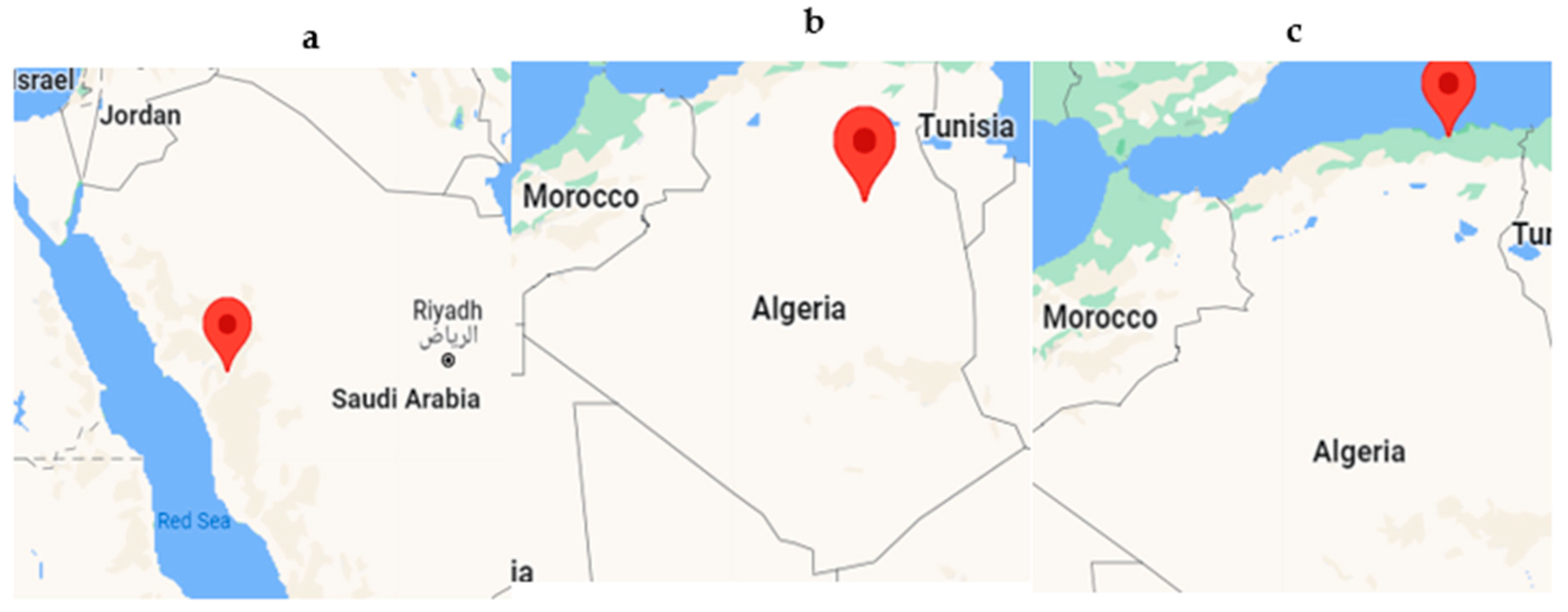 Sustainability 15 07811 g002