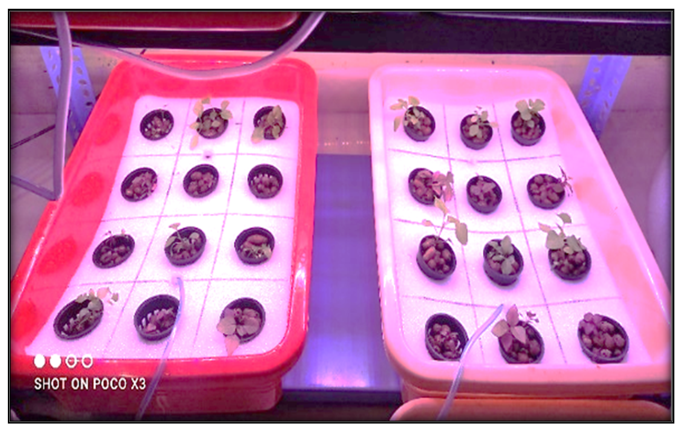 Sustainability 15 07814 g002 Sustainability 15 07814 g002