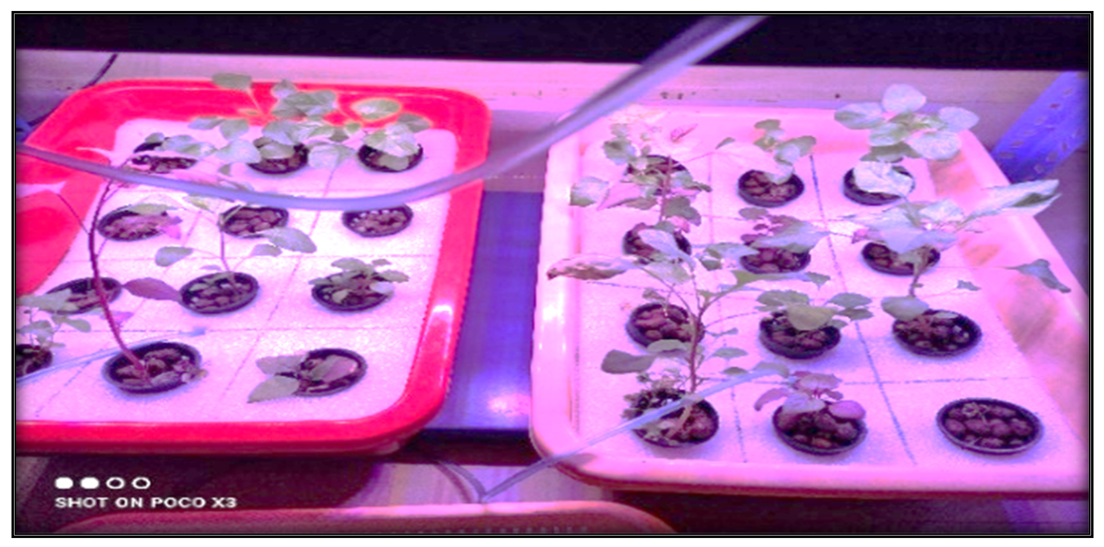 Sustainability 15 07814 g003 Sustainability 15 07814 g003