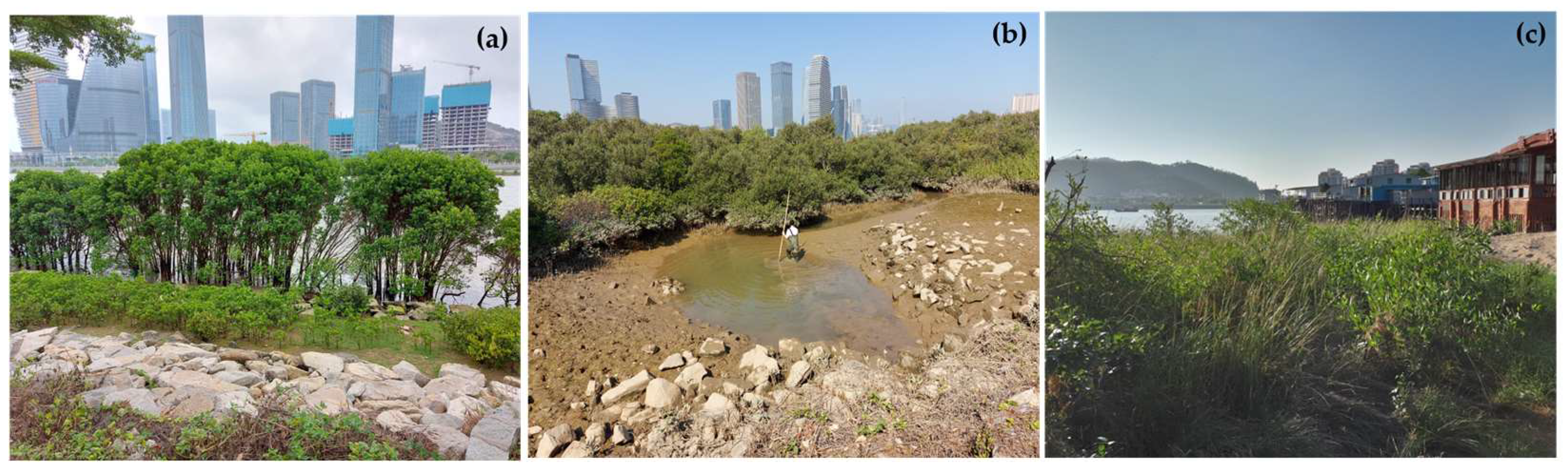 Sustainability 15 07830 g002 Sustainability 15 07830 g002