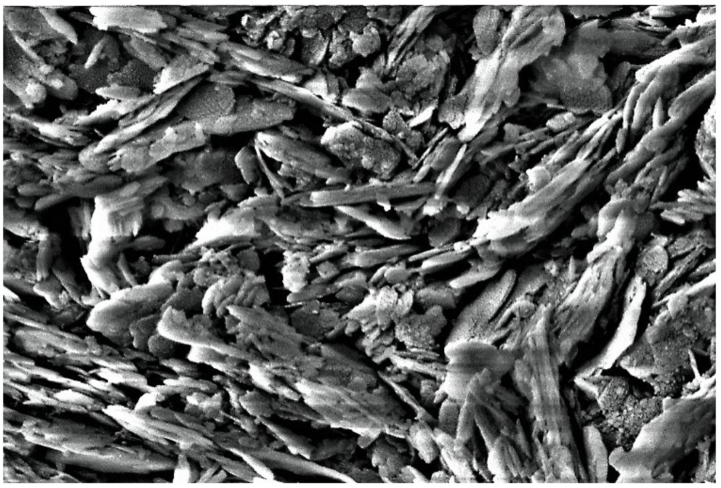 Sustainability 15 07833 g018 550