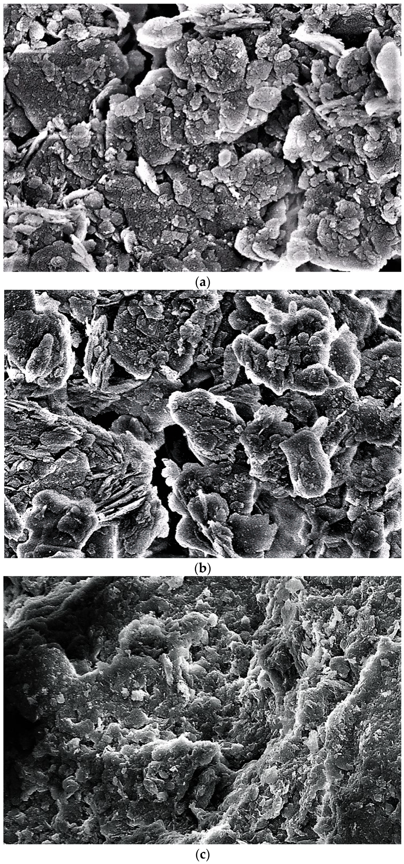 Sustainability 15 07833 g020 550