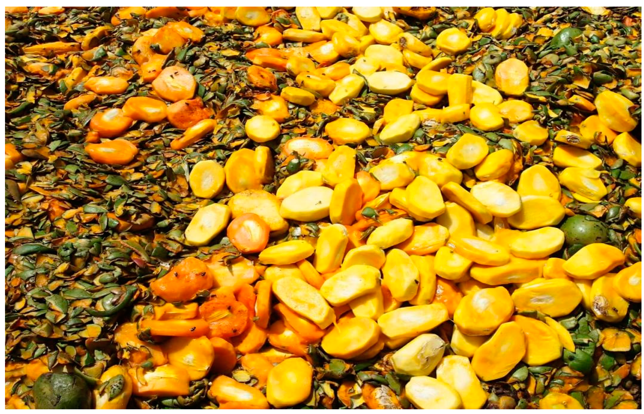 Sustainability 15 07840 g003