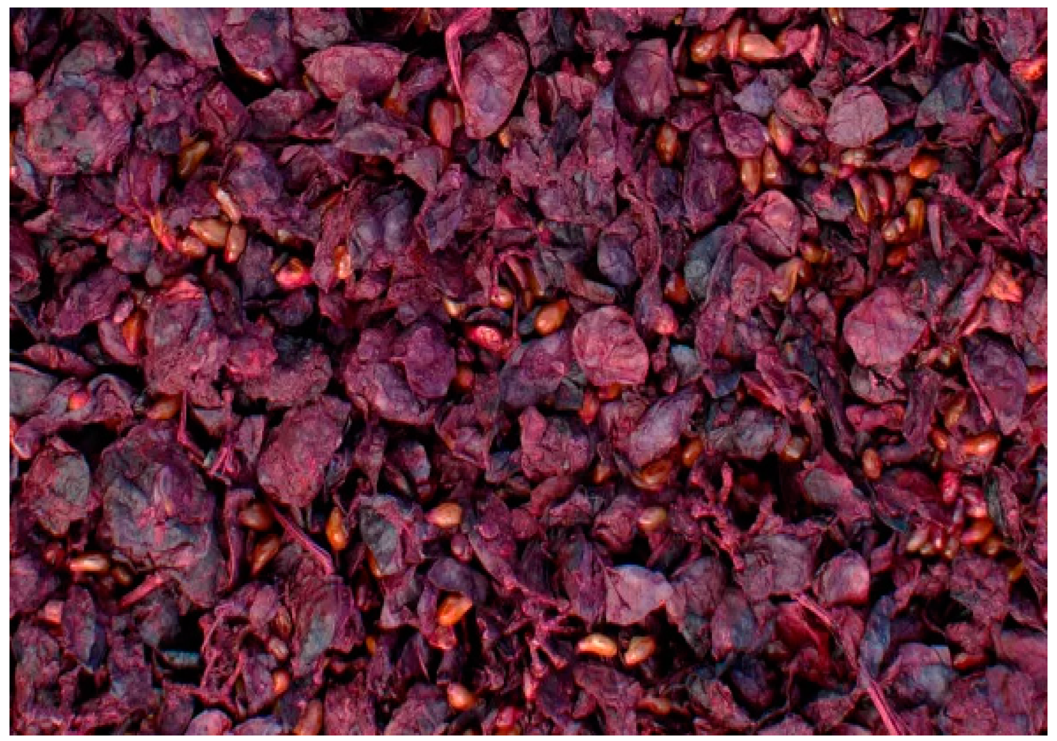 Sustainability 15 07840 g005