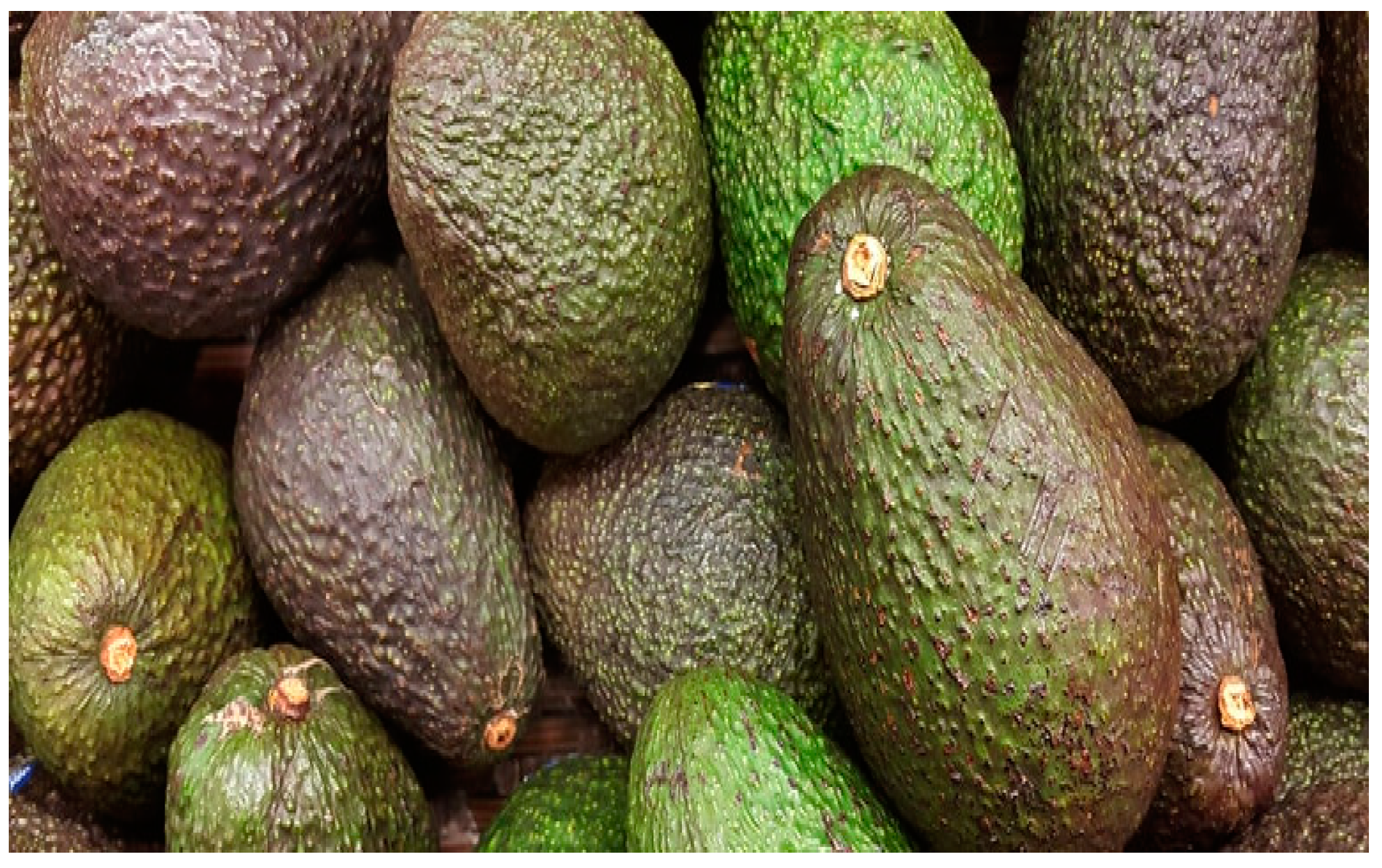 Sustainability 15 07840 g006