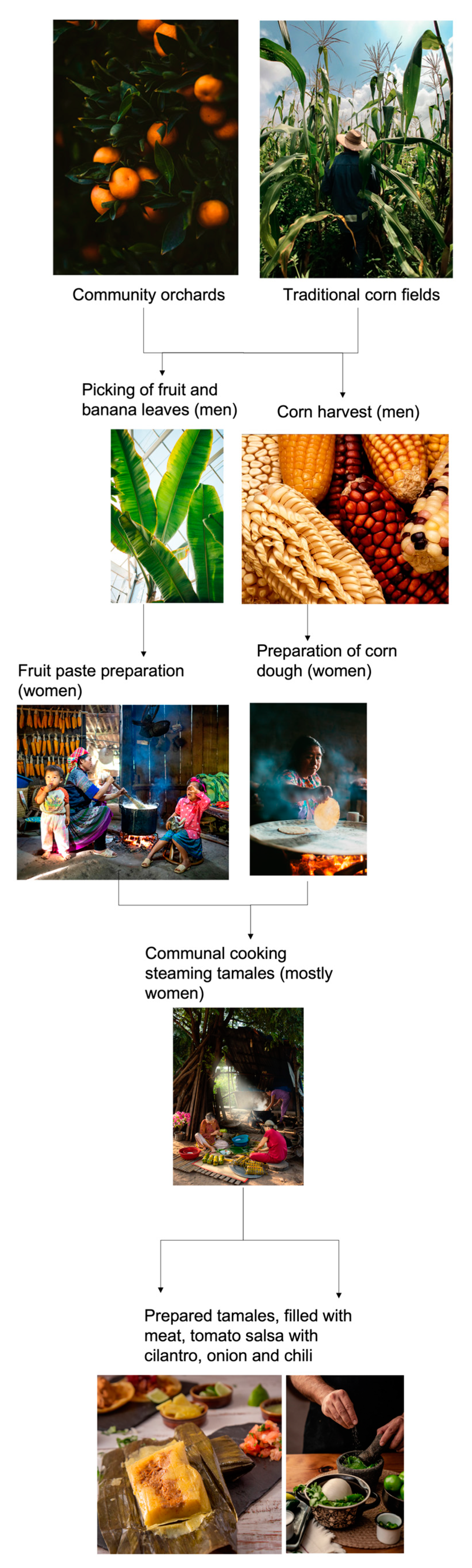 Sustainability 15 07858 g002