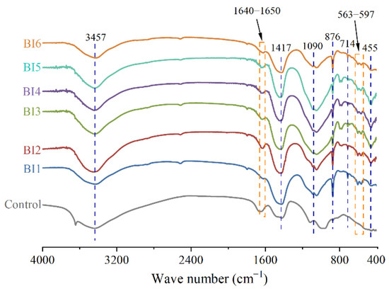 Investigating the Potential of Biobinder for Bottom Ash