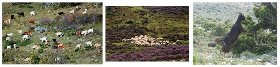 Sustainability 15 07863 g008 Sustainability 15 07863 g008