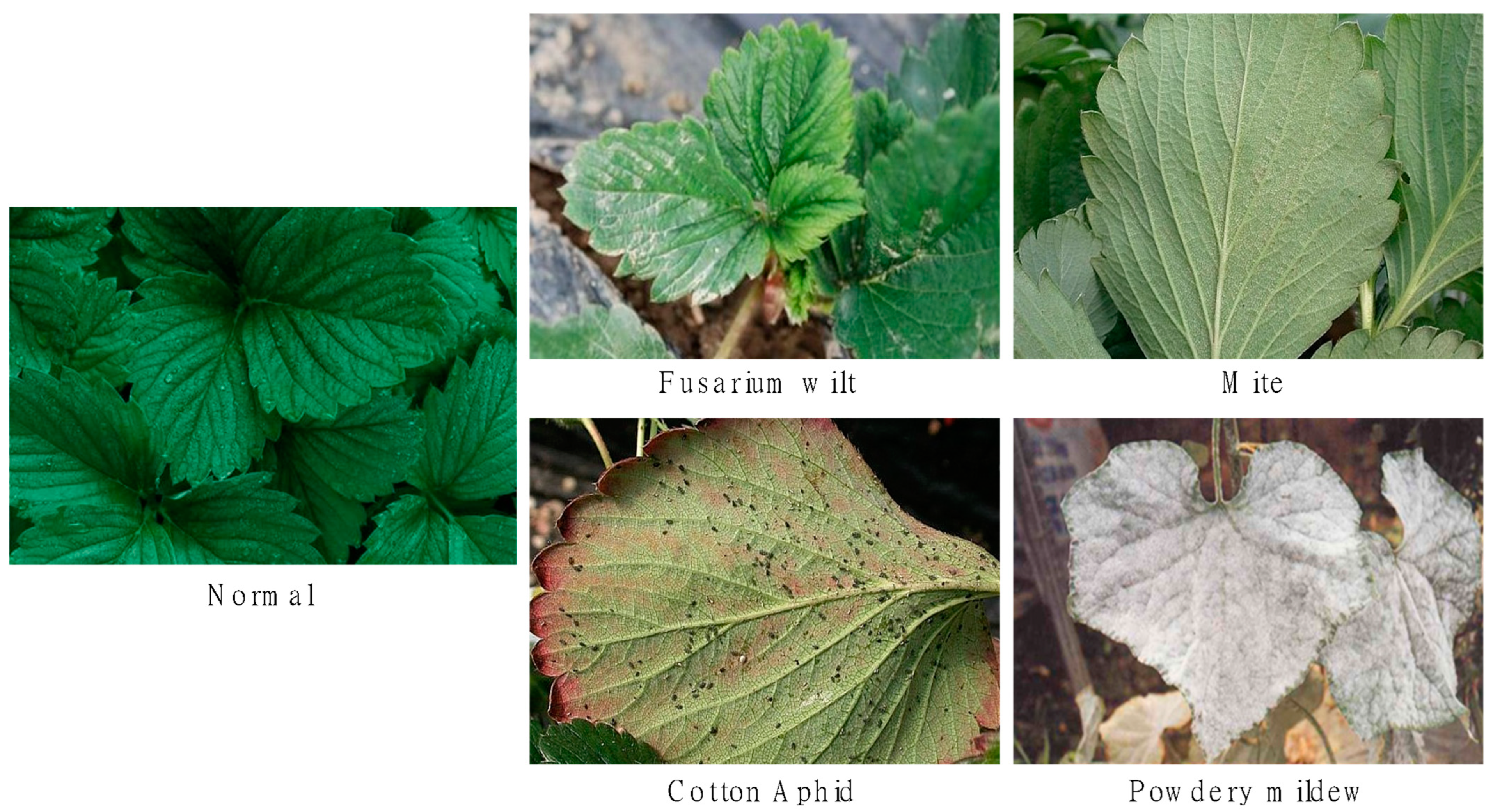 Sustainability 15 07931 g004