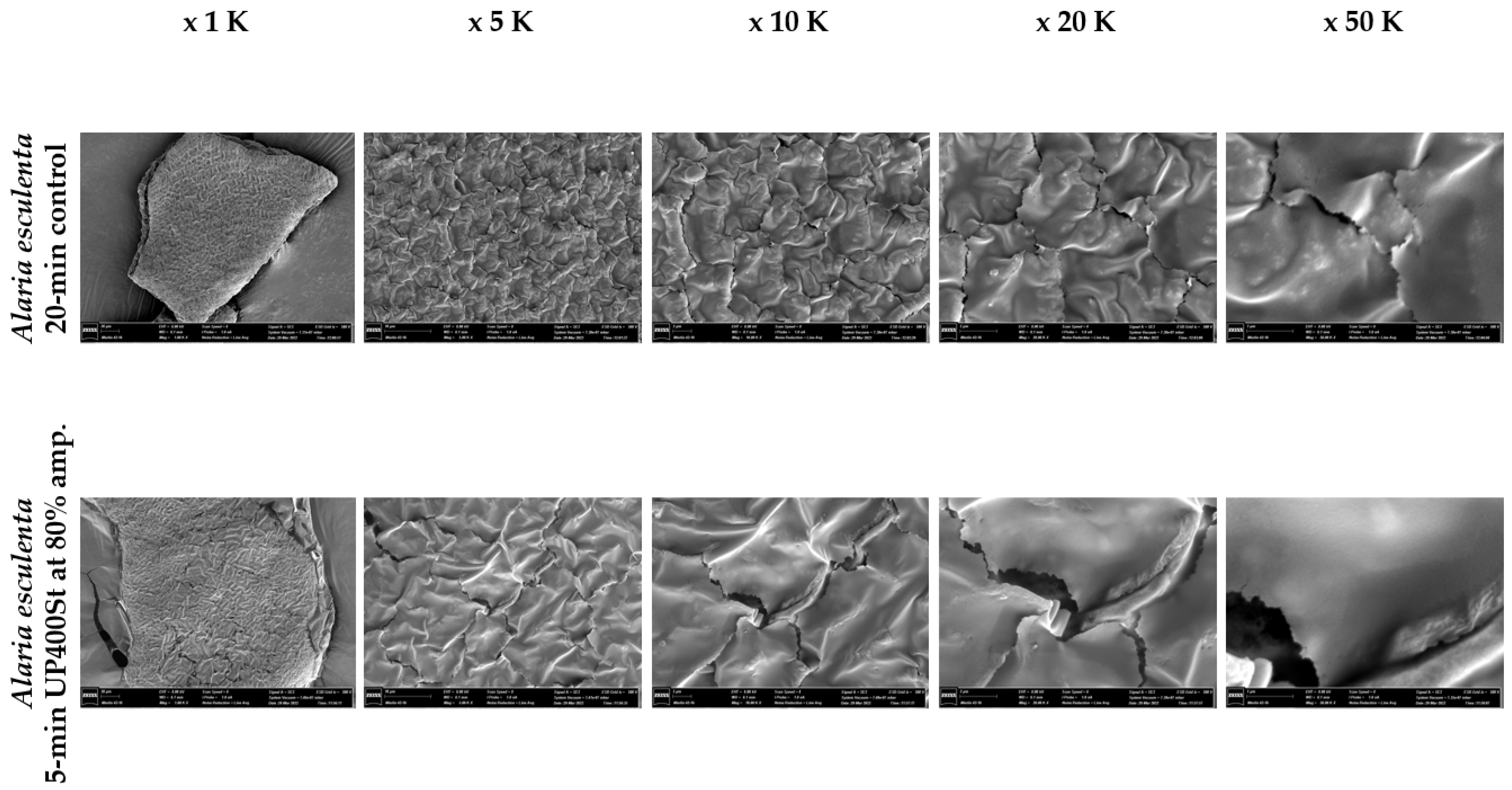 Sustainability 15 08024 g012