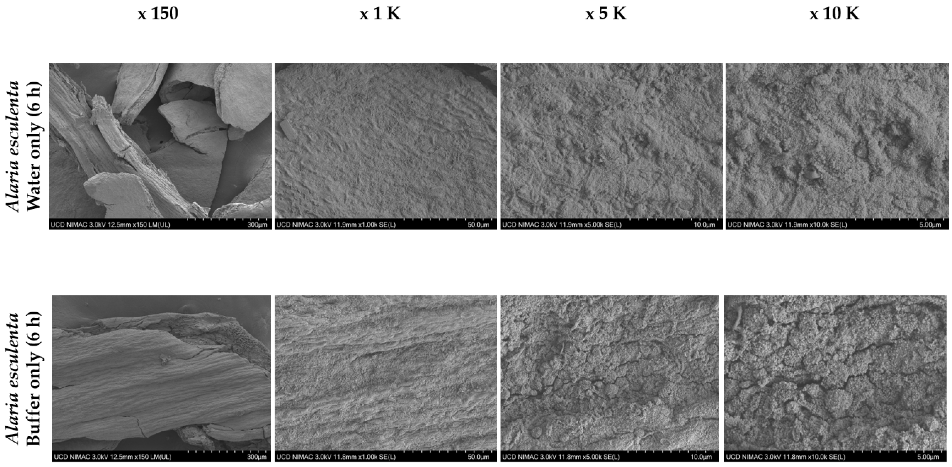 Sustainability 15 08024 g014a