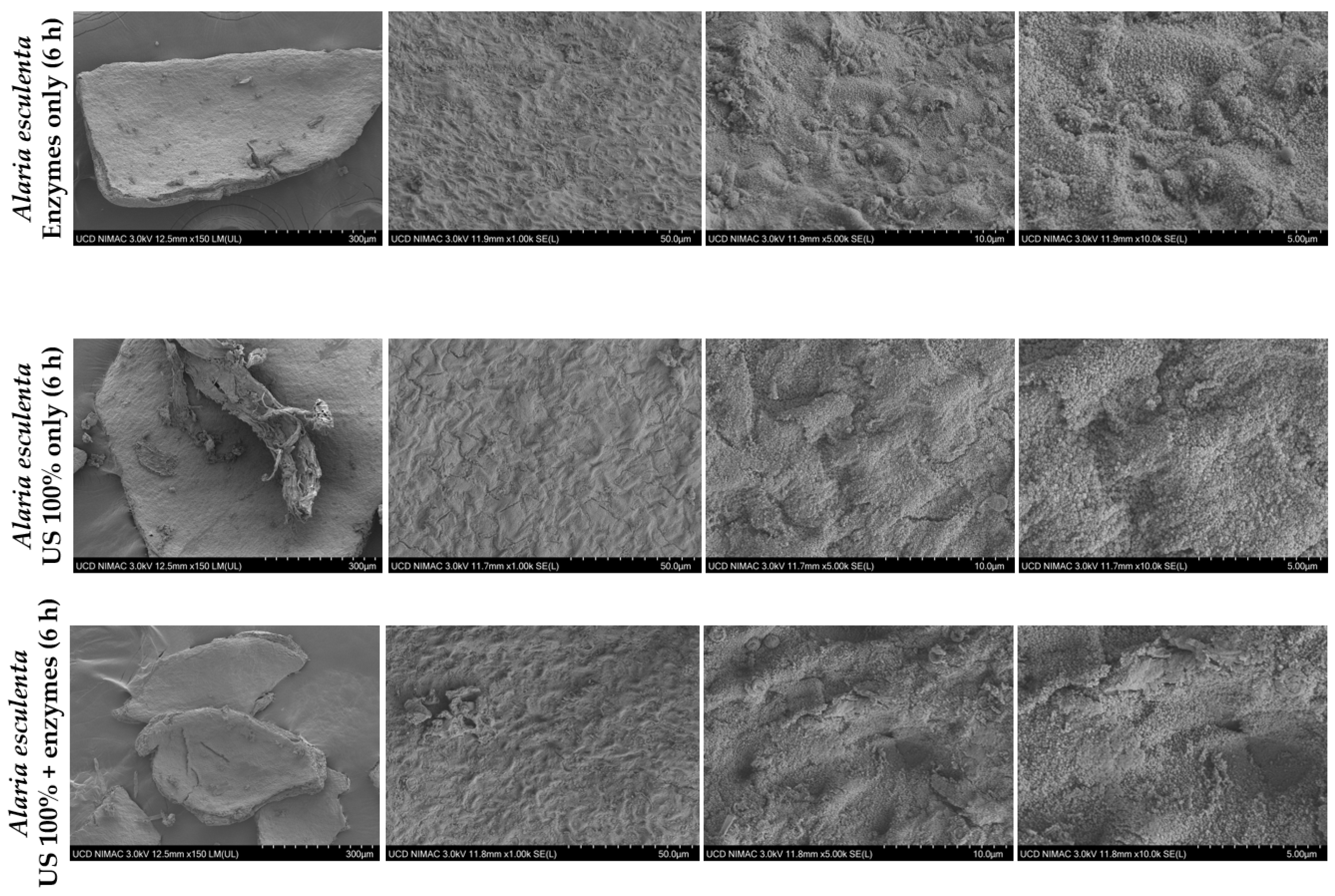 Sustainability 15 08024 g014b