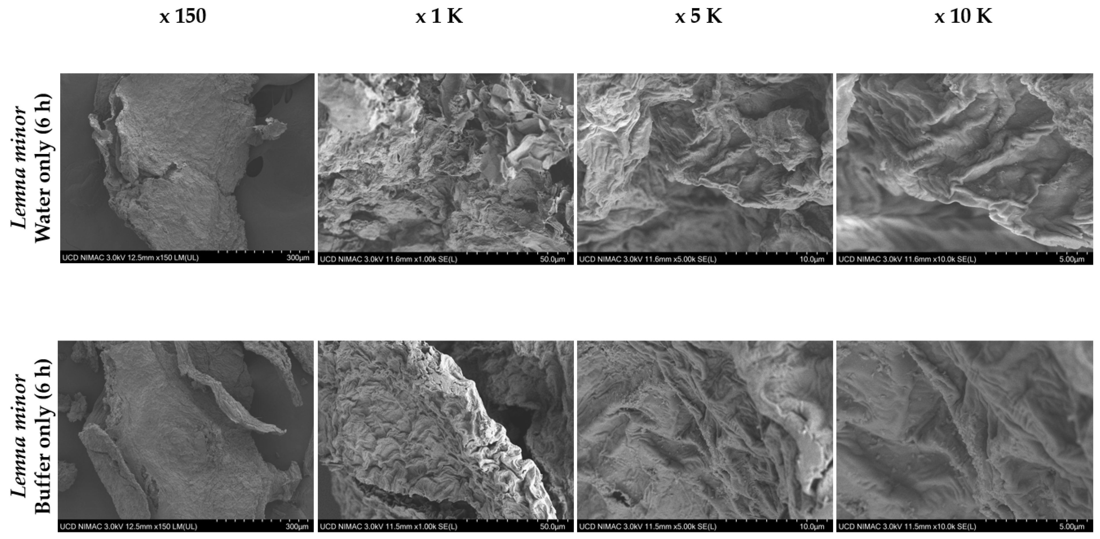 Sustainability 15 08024 g015a