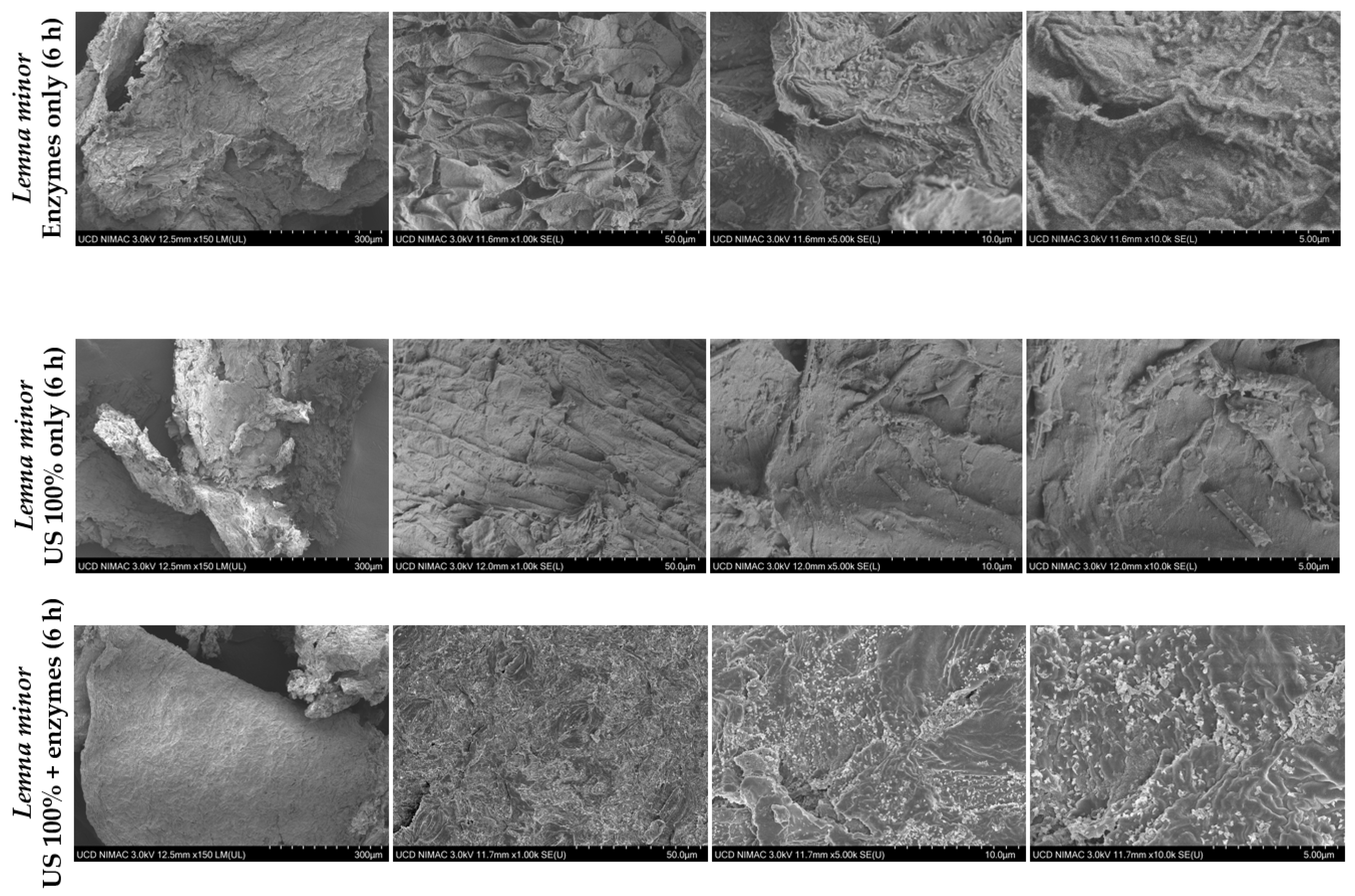 Sustainability 15 08024 g015b