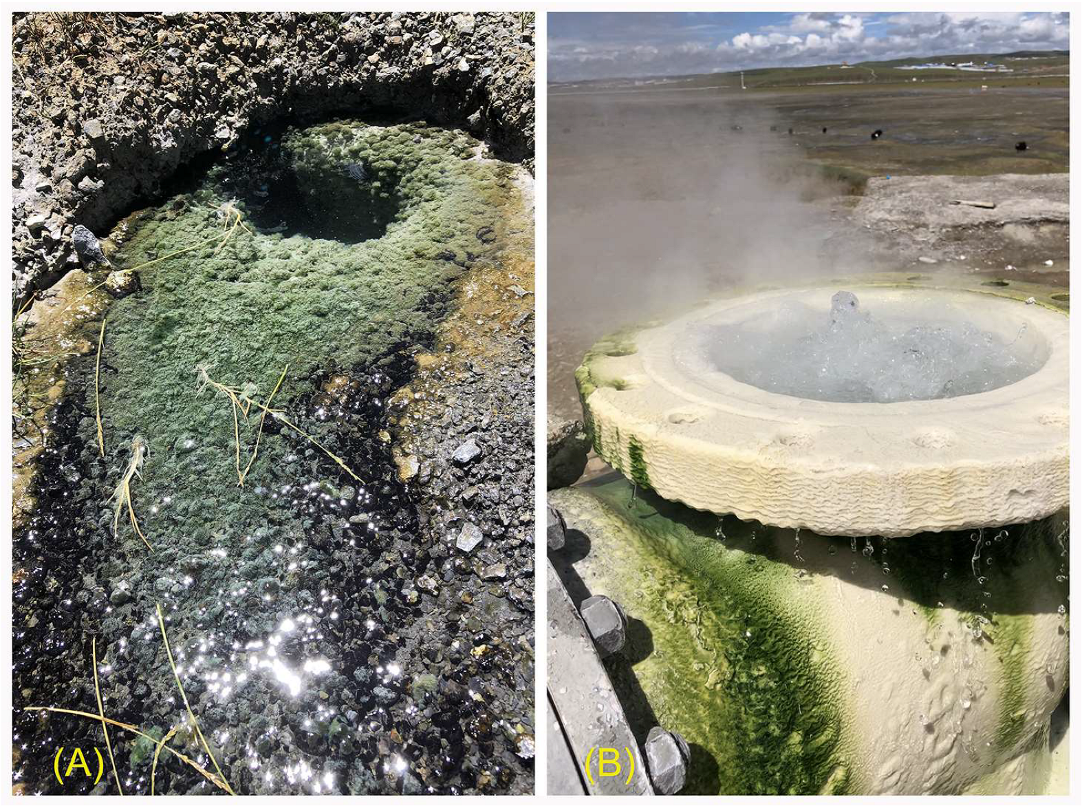 Sustainability 15 08040 g001 Sustainability 15 08040 g001