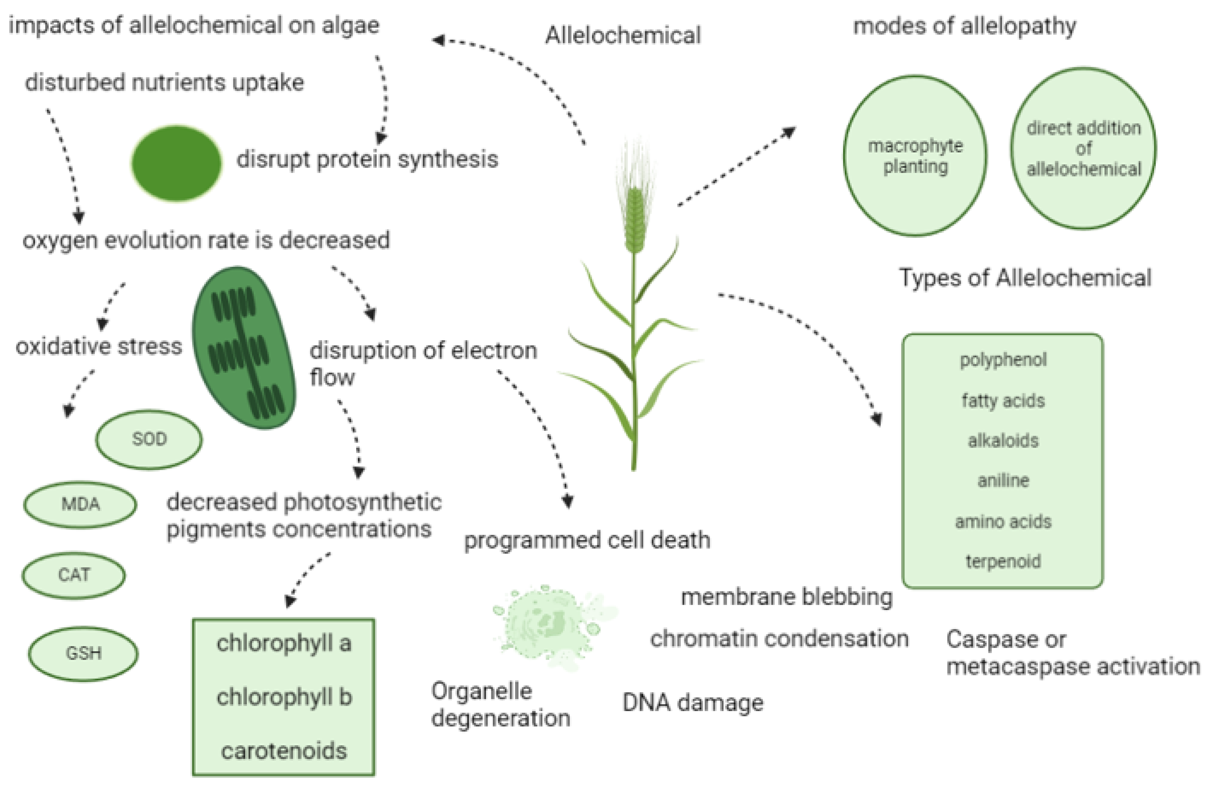 Sustainability 15 08048 g004
