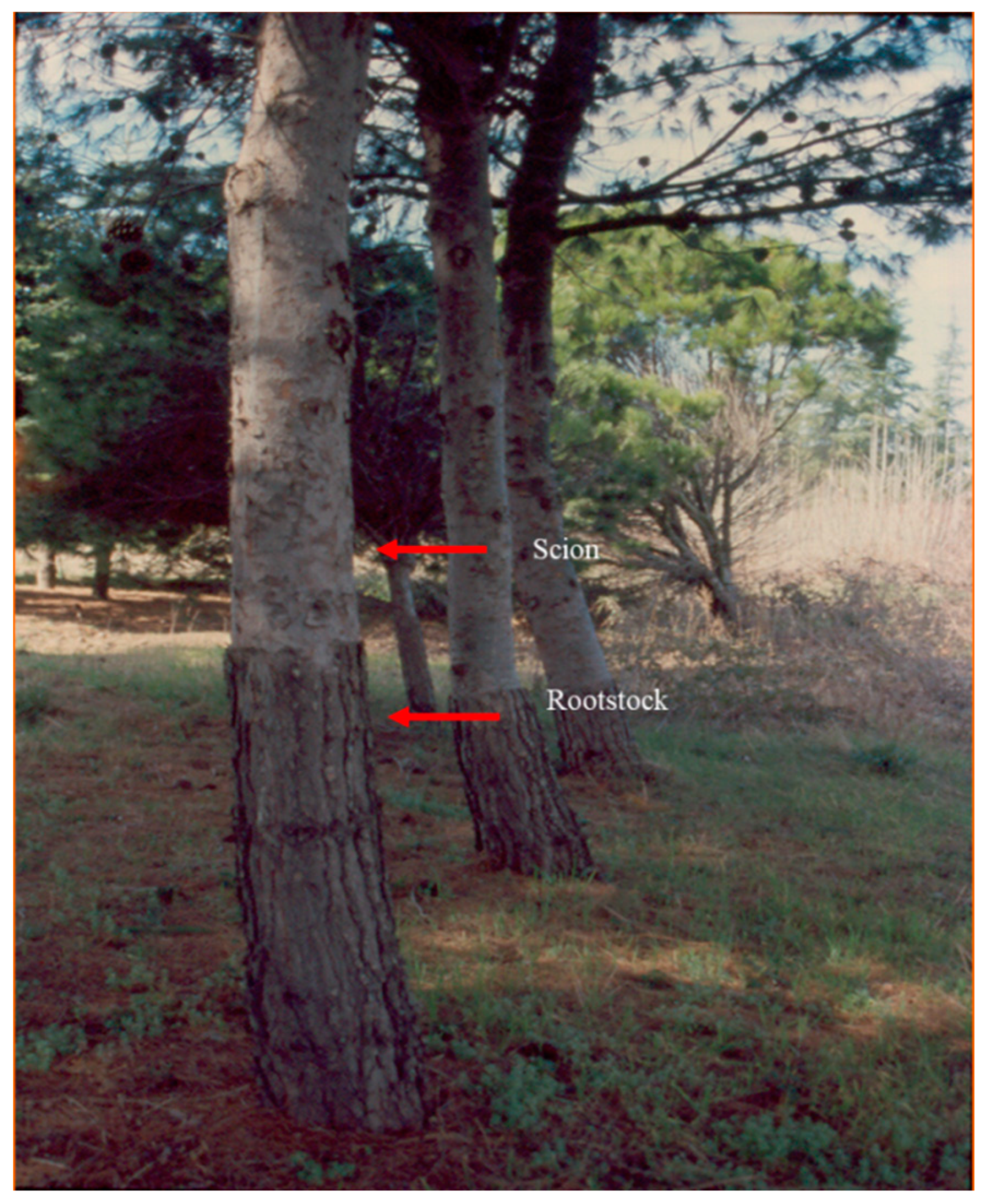 Sustainability 15 08052 g004 Sustainability 15 08052 g004