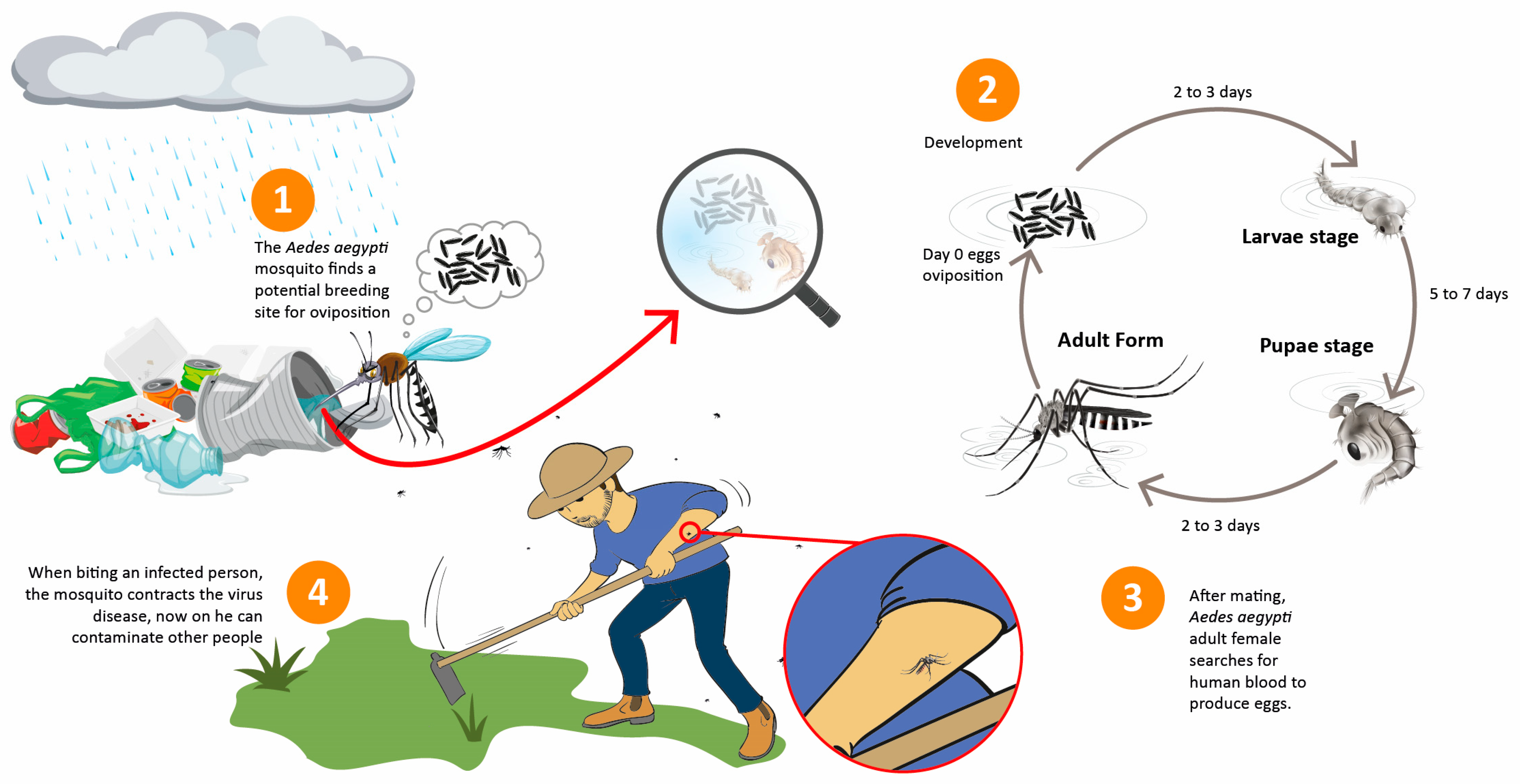 Sustainability 15 08148 g002