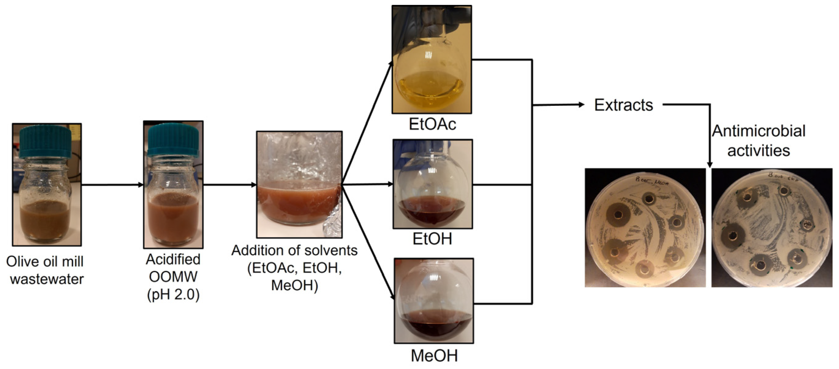 Sustainability 15 08179 g002 Sustainability 15 08179 g002