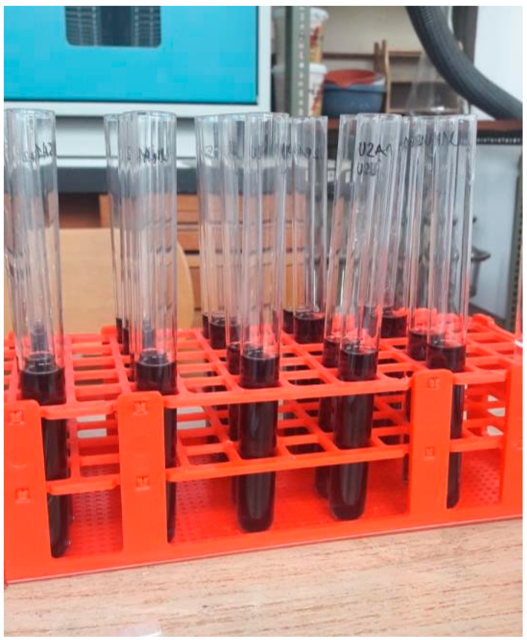 Sustainability 15 08198 g001