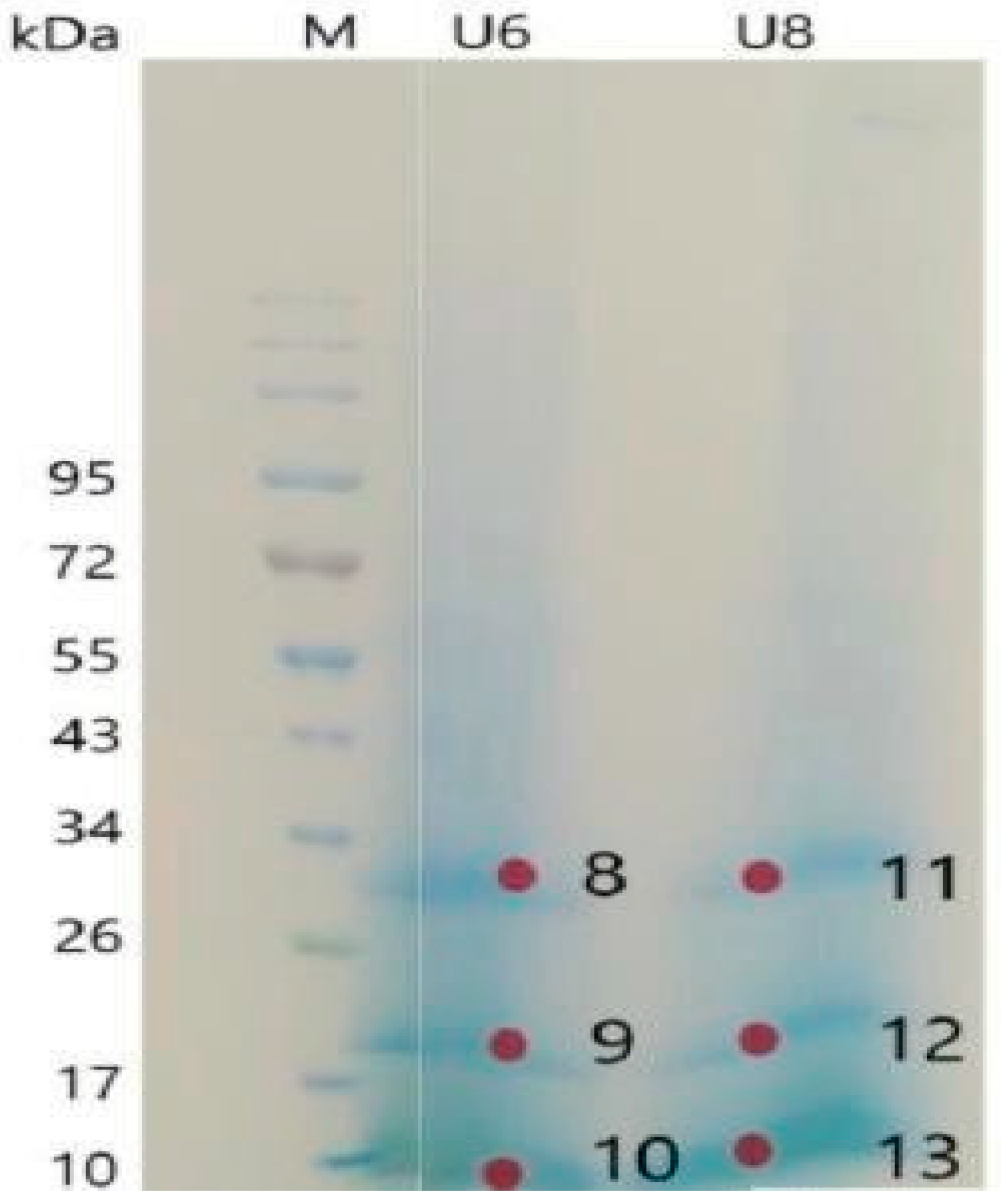 Sustainability 15 08198 g009