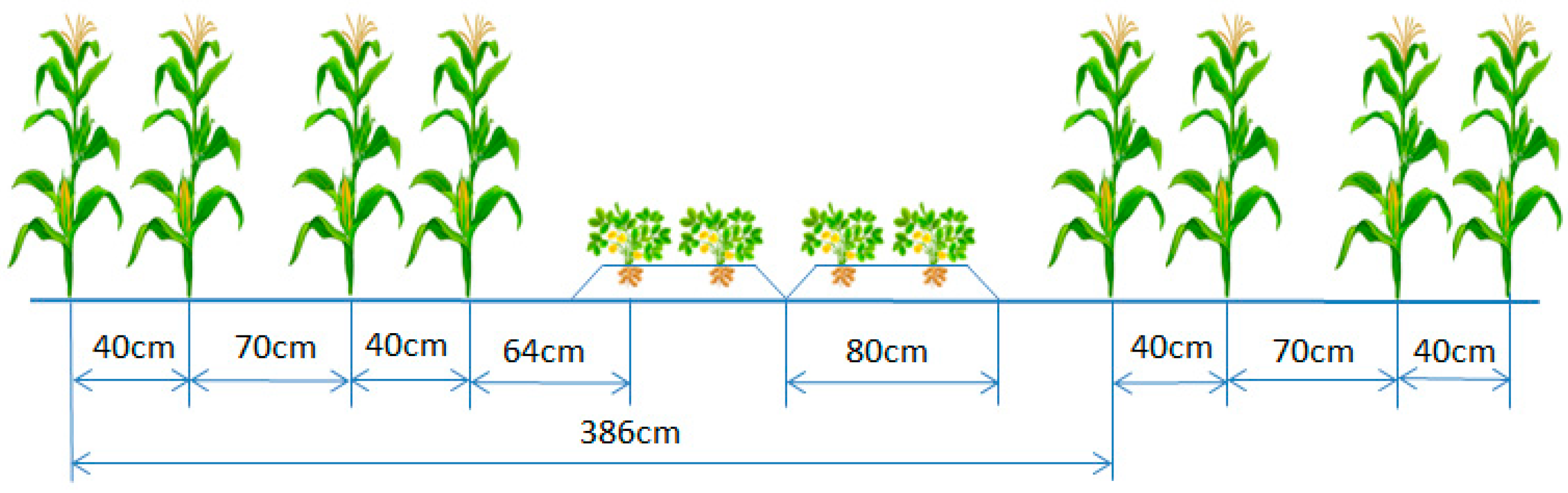 Sustainability 15 08289 g005
