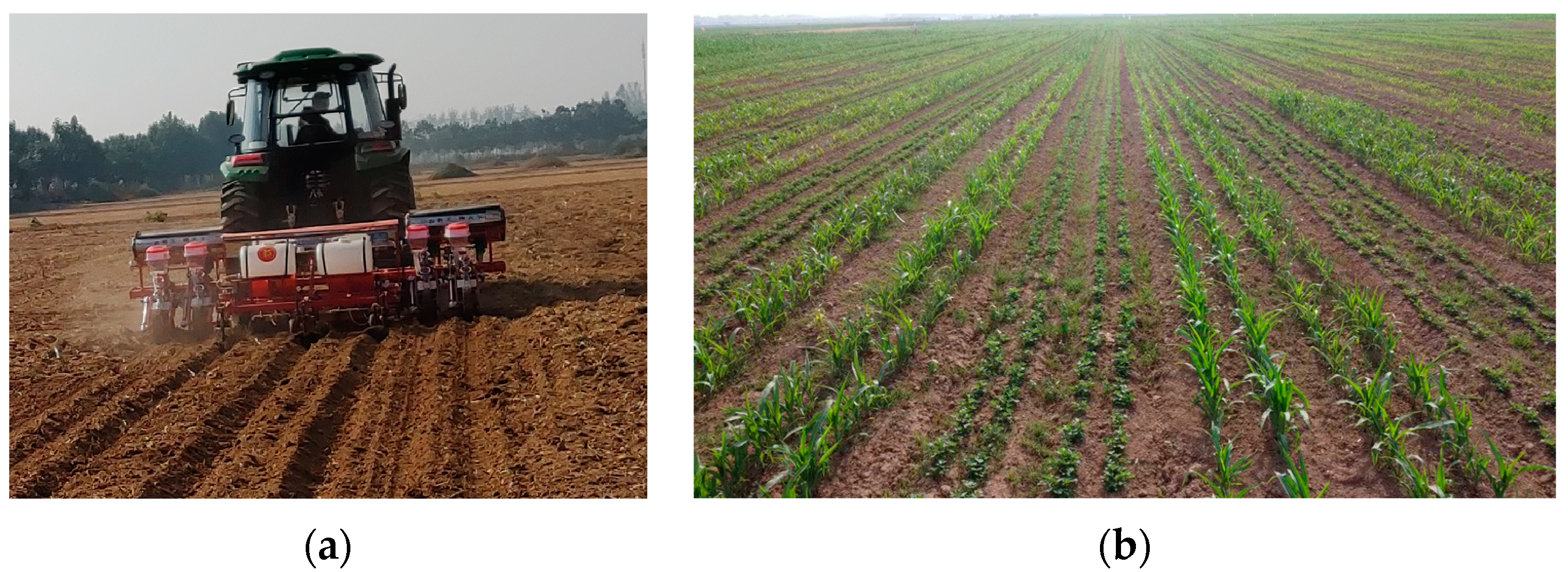 Sustainability 15 08289 g012