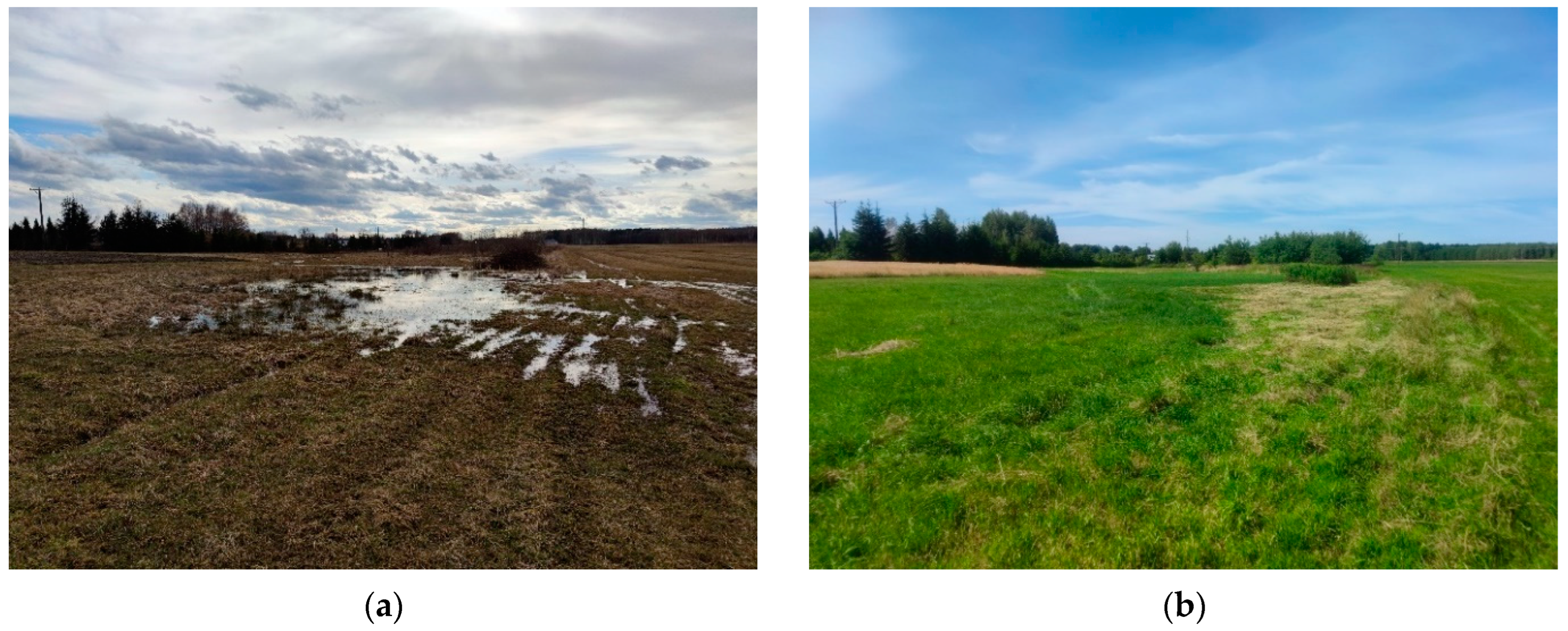 Sustainability 15 08316 g017 Sustainability 15 08316 g017