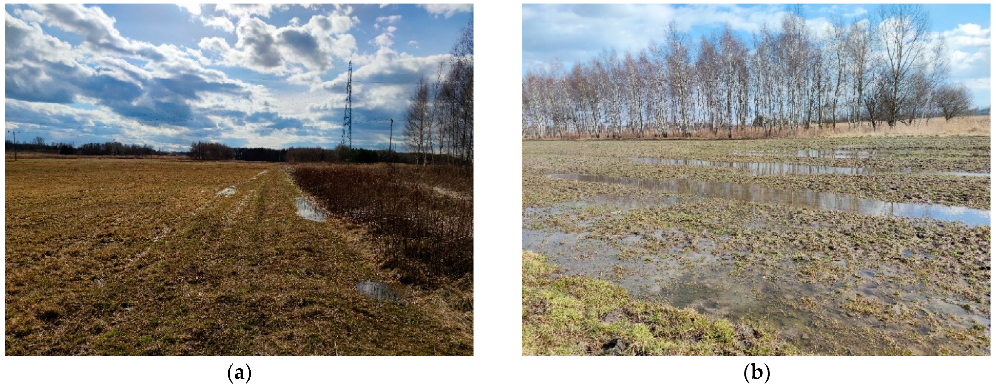 Sustainability 15 08316 g018 Sustainability 15 08316 g018