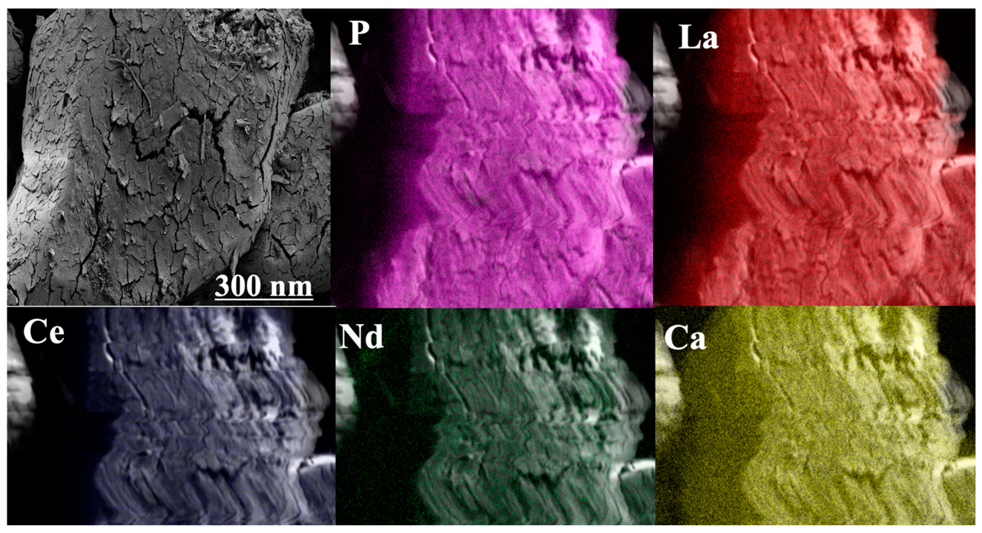 Sustainability 15 08361 g002