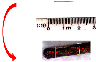 Sustainability 15 08393 i001